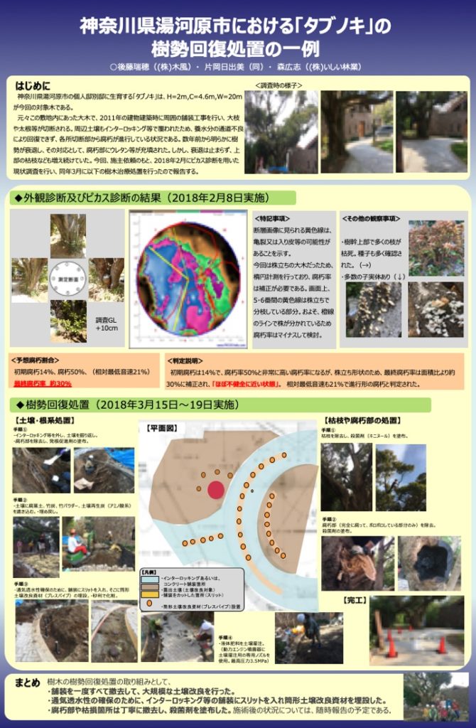 『神奈川県湯河原市における「タブノキ」の樹勢回復処置の一例』